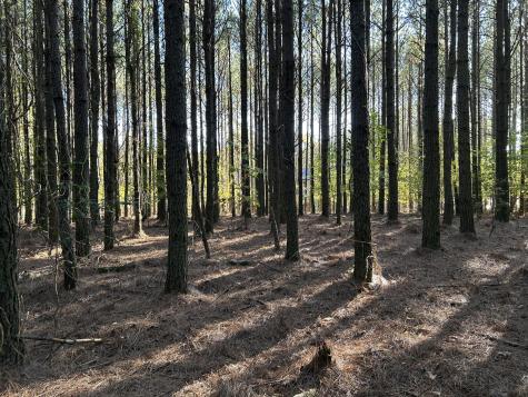 2035 Crockett Point Jasper TN 37347