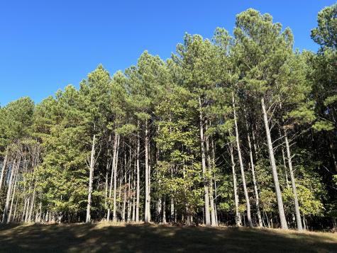 2035 Crockett Point Jasper TN 37347