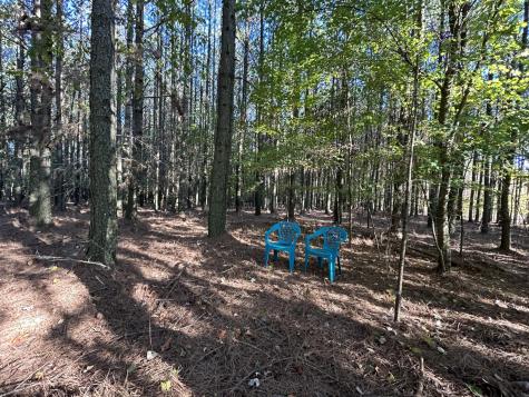 2035 Crockett Point Jasper TN 37347