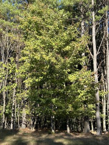 2035 Crockett Point Jasper TN 37347