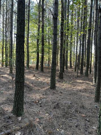 2035 Crockett Point Jasper TN 37347