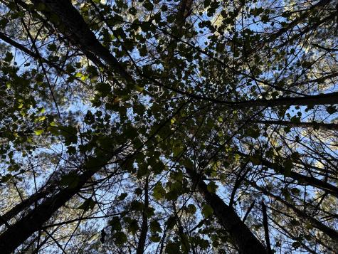 2035 Crockett Point Jasper TN 37347