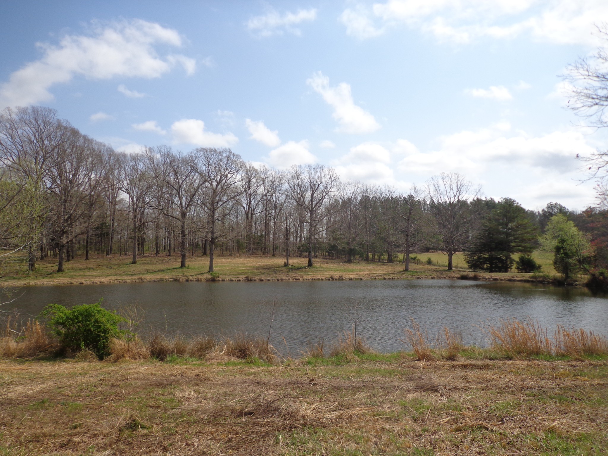 1551 Tennessee Ridge Road Waverly TN 37185