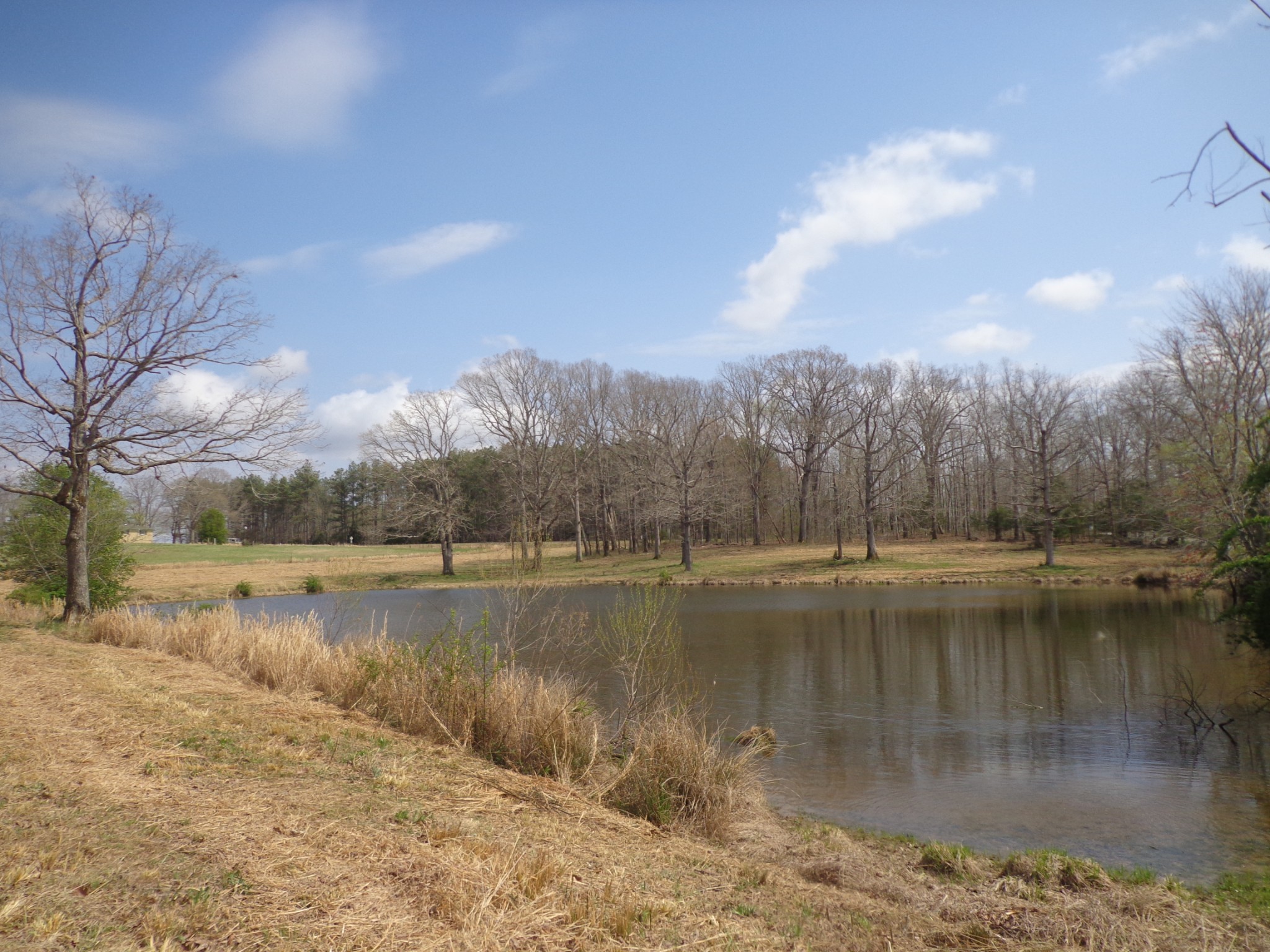 1551 Tennessee Ridge Road Waverly TN 37185