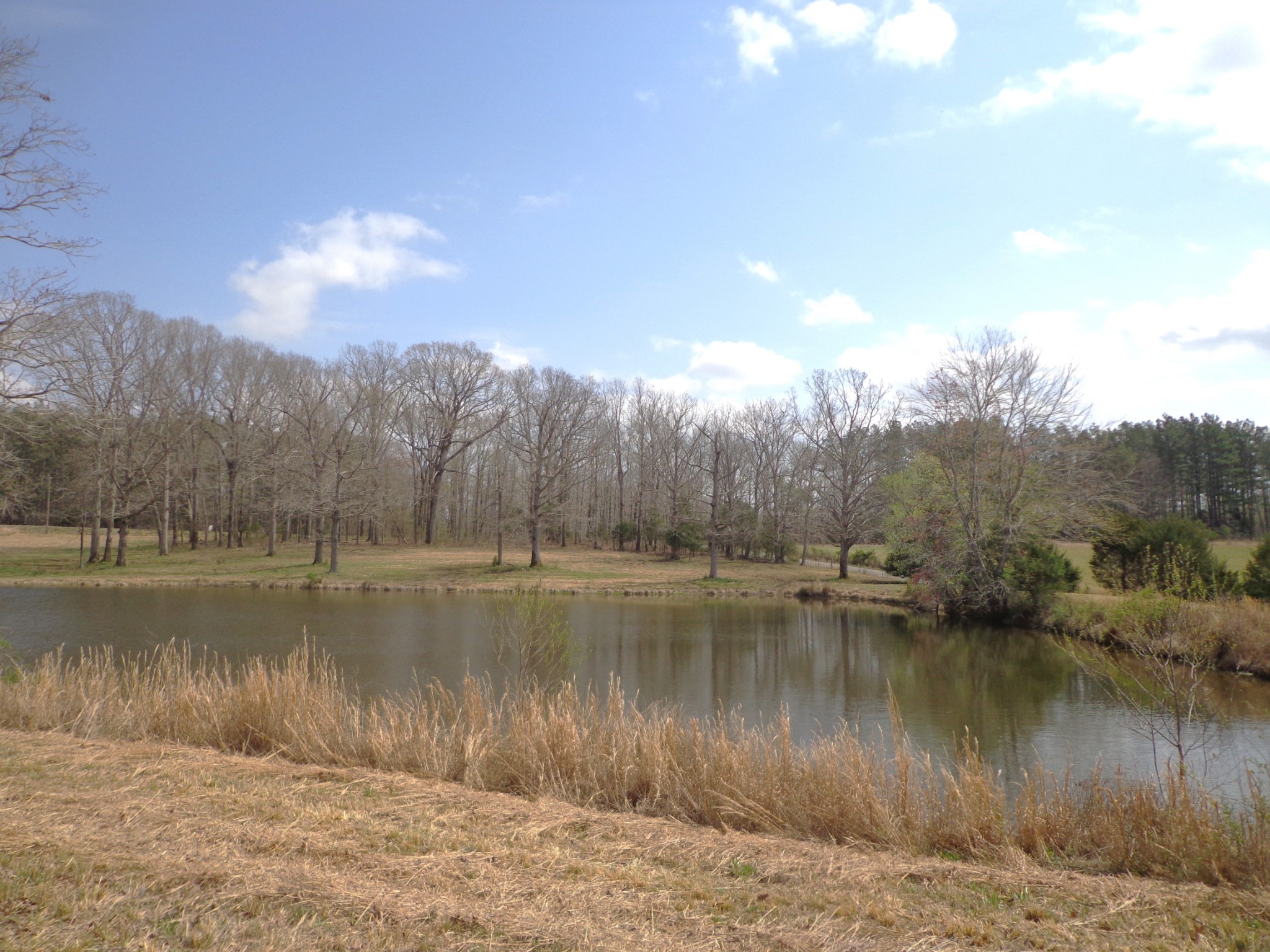 1551 Tennessee Ridge Road Waverly TN 37185