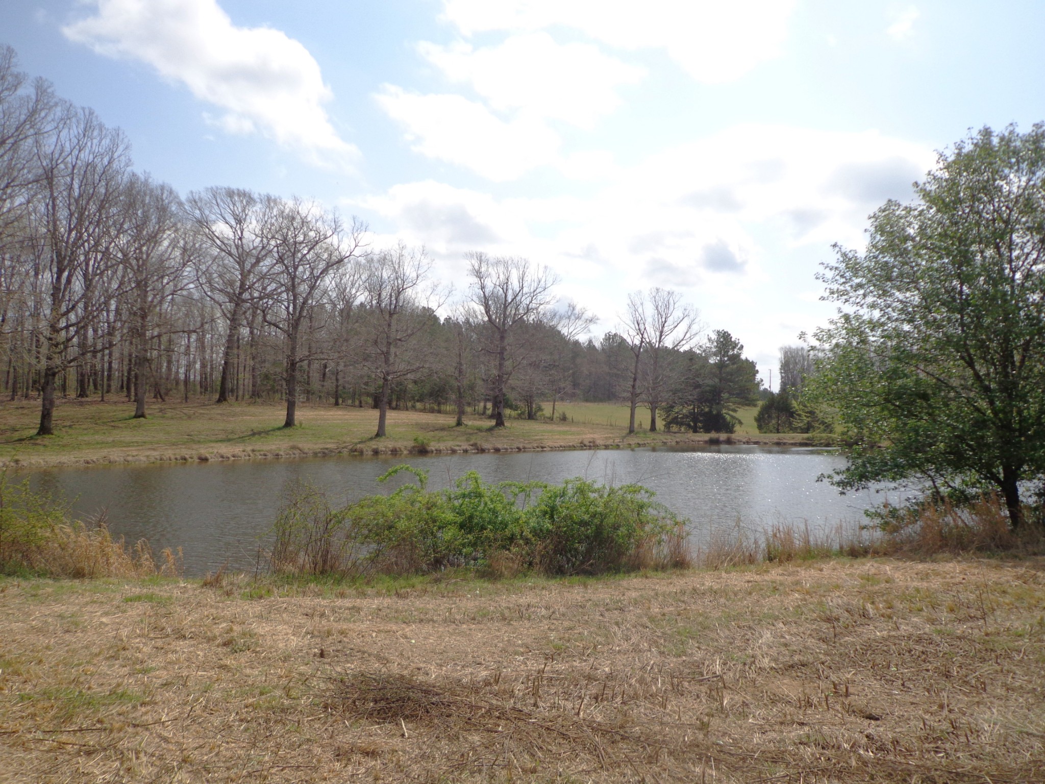 1551 Tennessee Ridge Road Waverly TN 37185