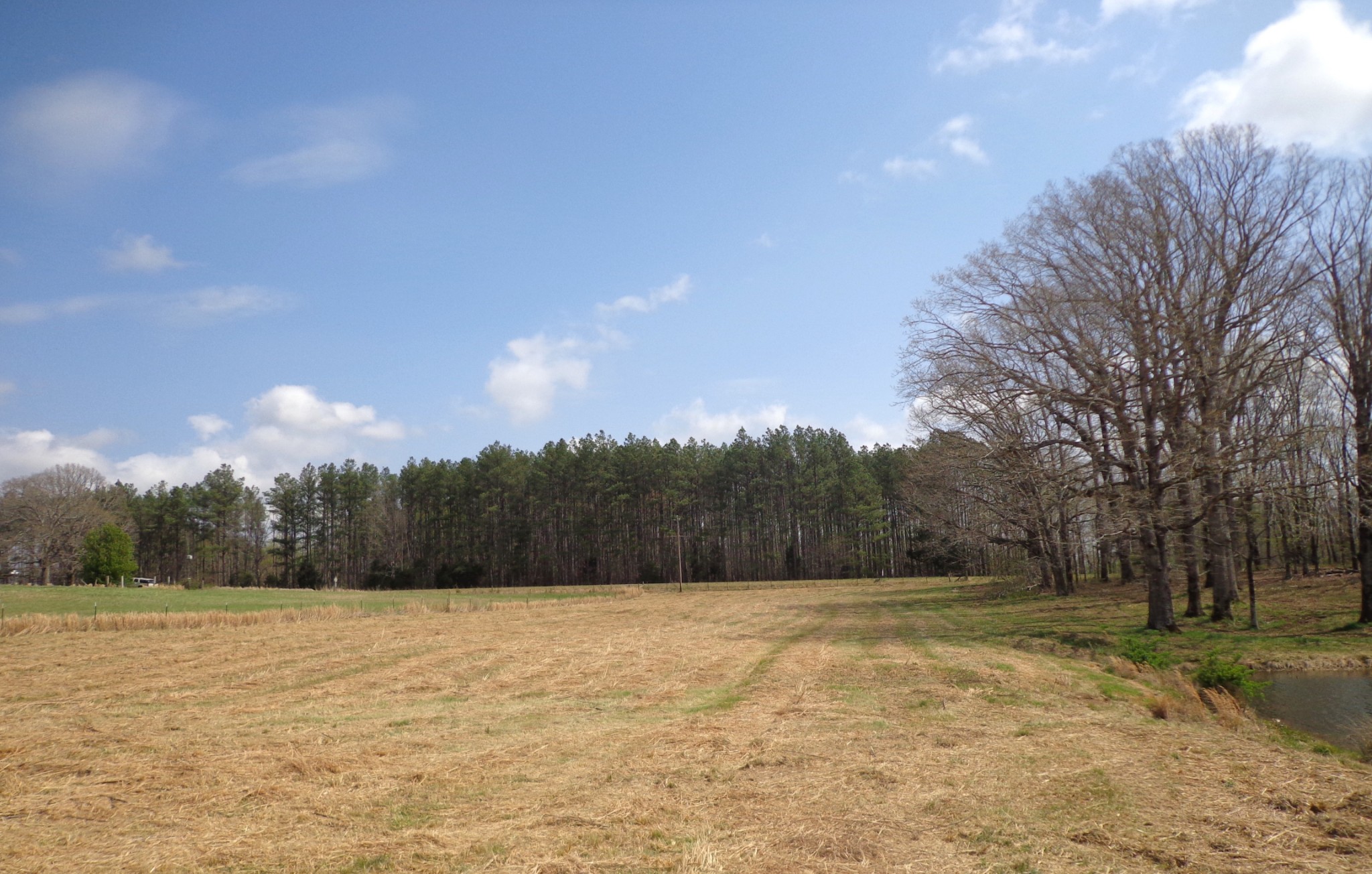 1551 Tennessee Ridge Road Waverly TN 37185