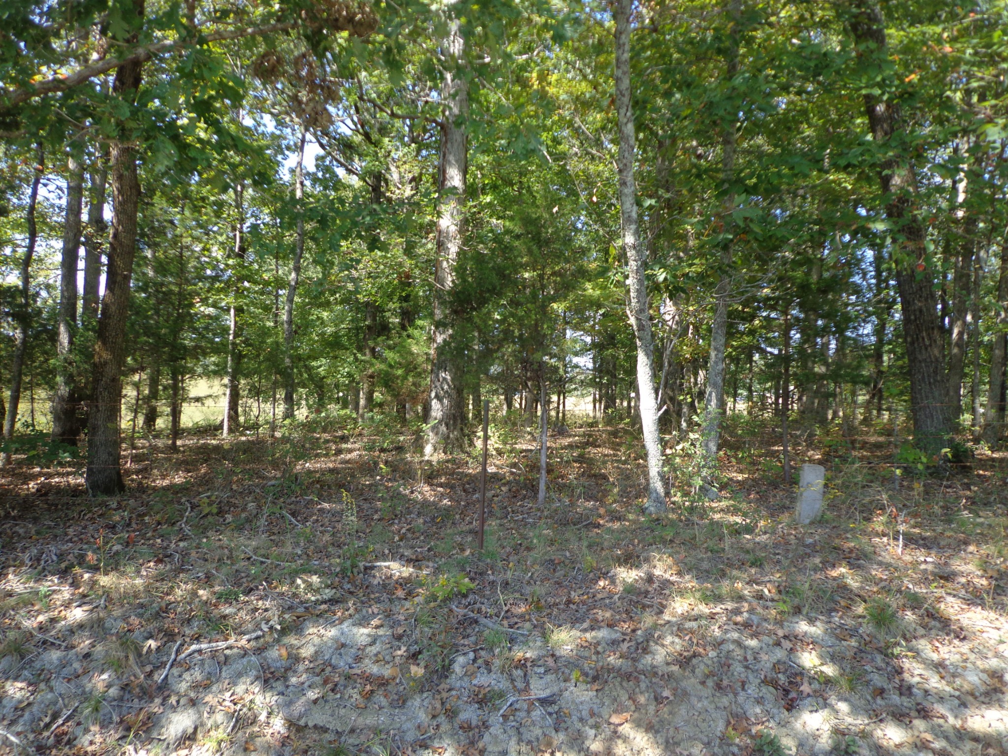 1551 Tennessee Ridge Road Waverly TN 37185