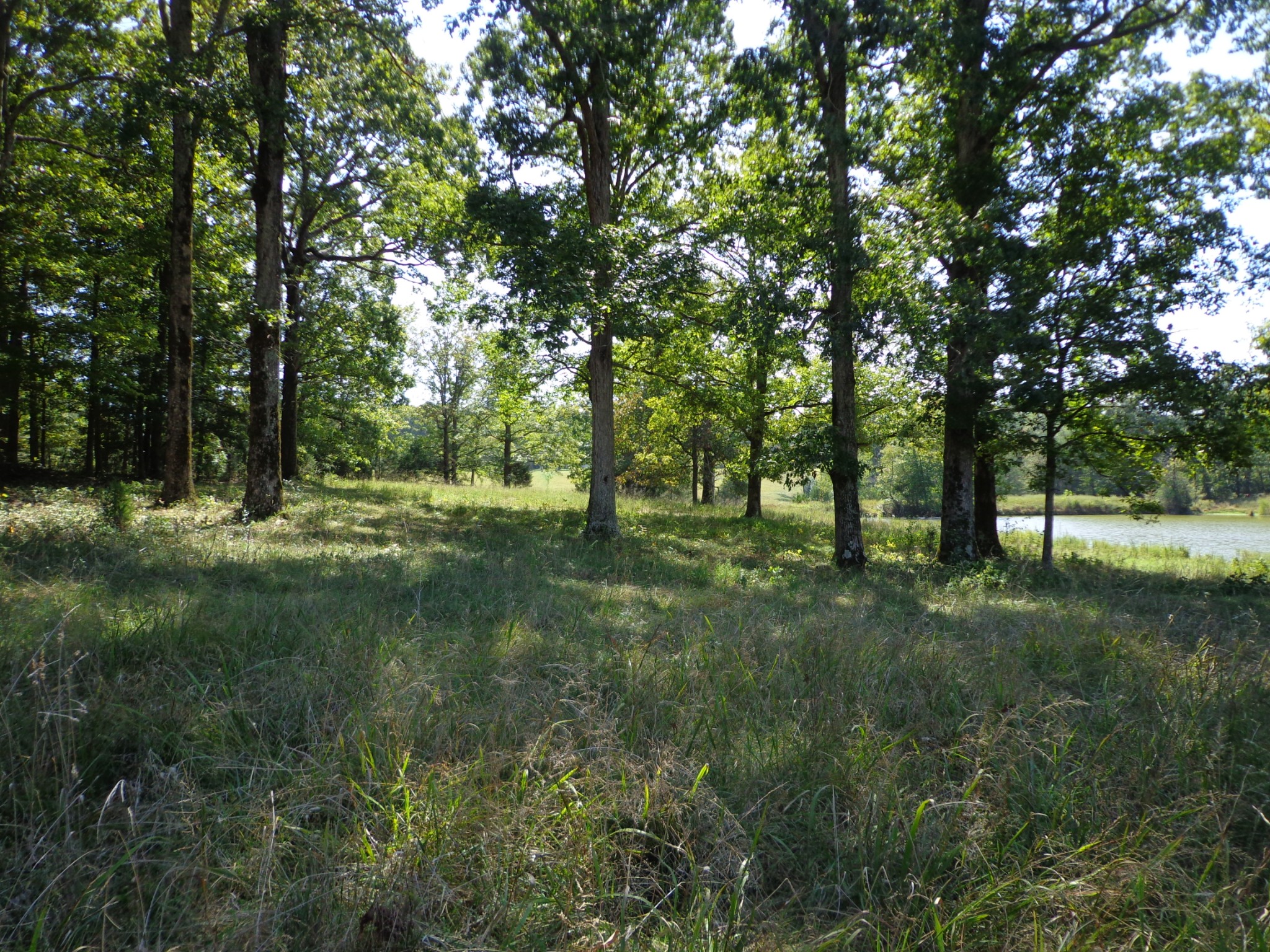 1551 Tennessee Ridge Road Waverly TN 37185