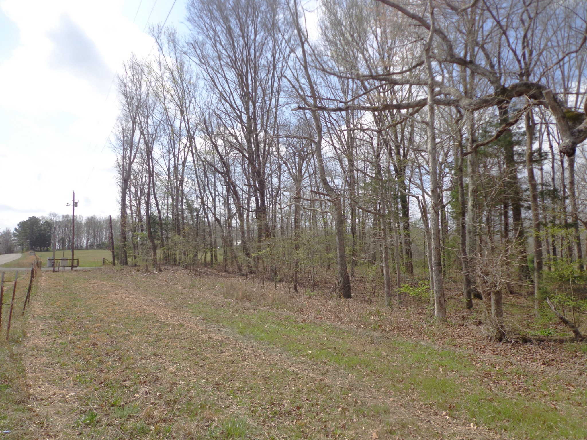 1551 Tennessee Ridge Road Waverly TN 37185