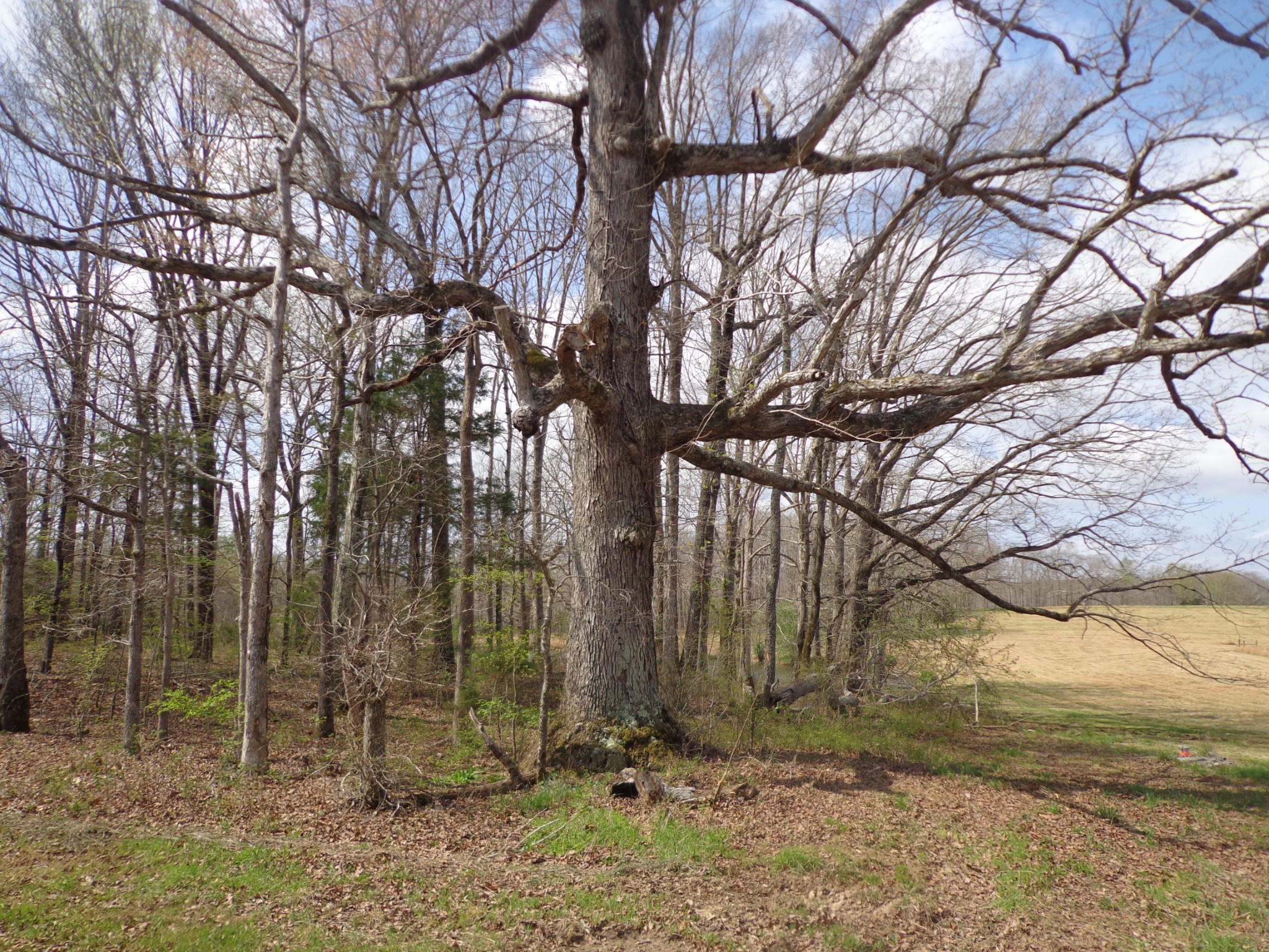 1551 Tennessee Ridge Road Waverly TN 37185
