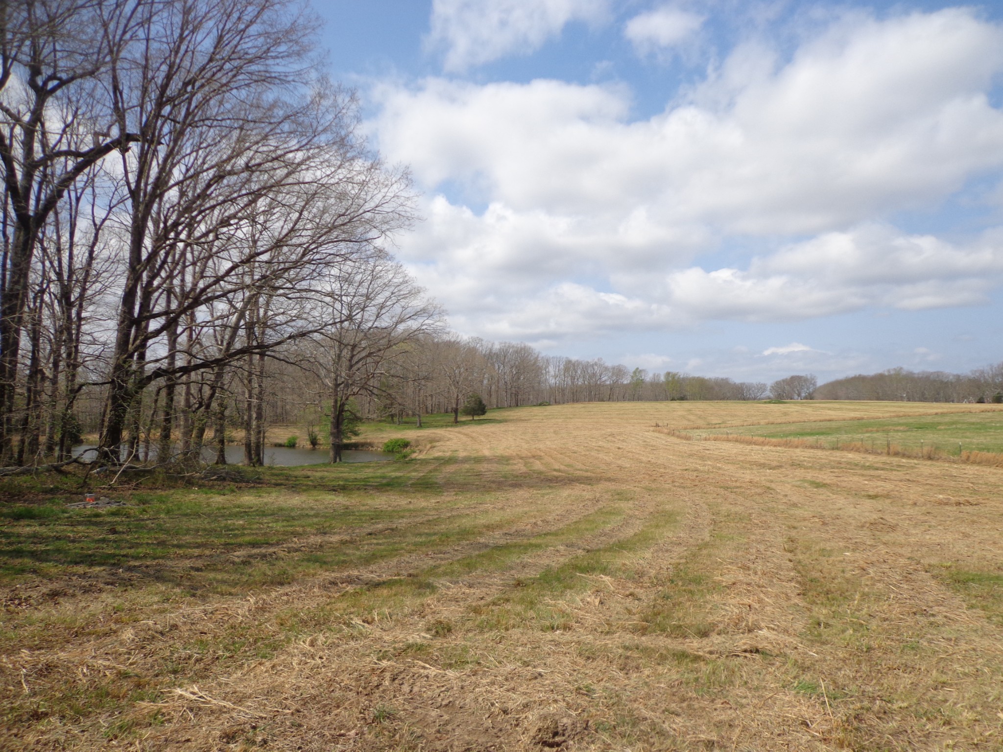 1551 Tennessee Ridge Road Waverly TN 37185
