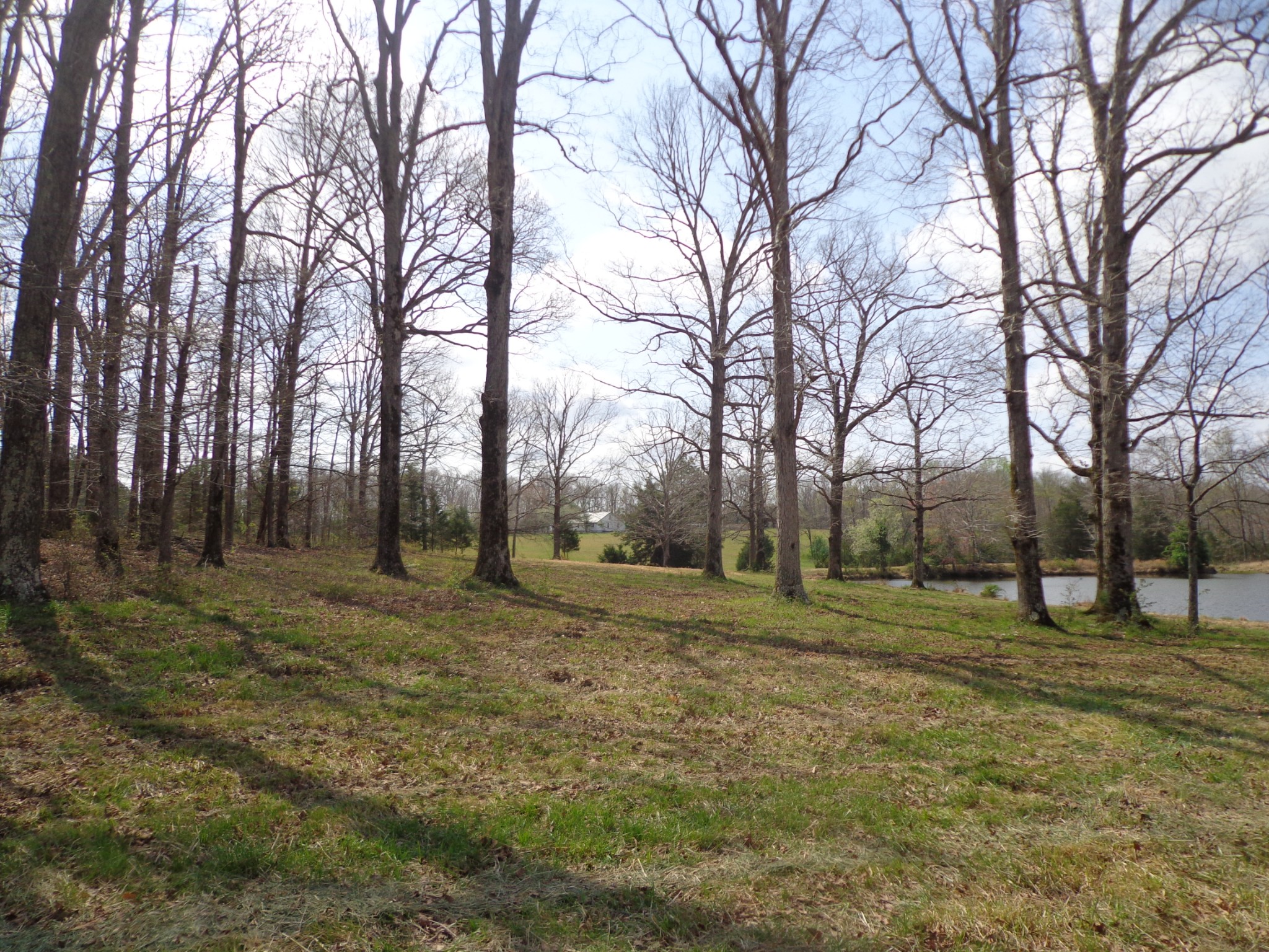 1551 Tennessee Ridge Road Waverly TN 37185