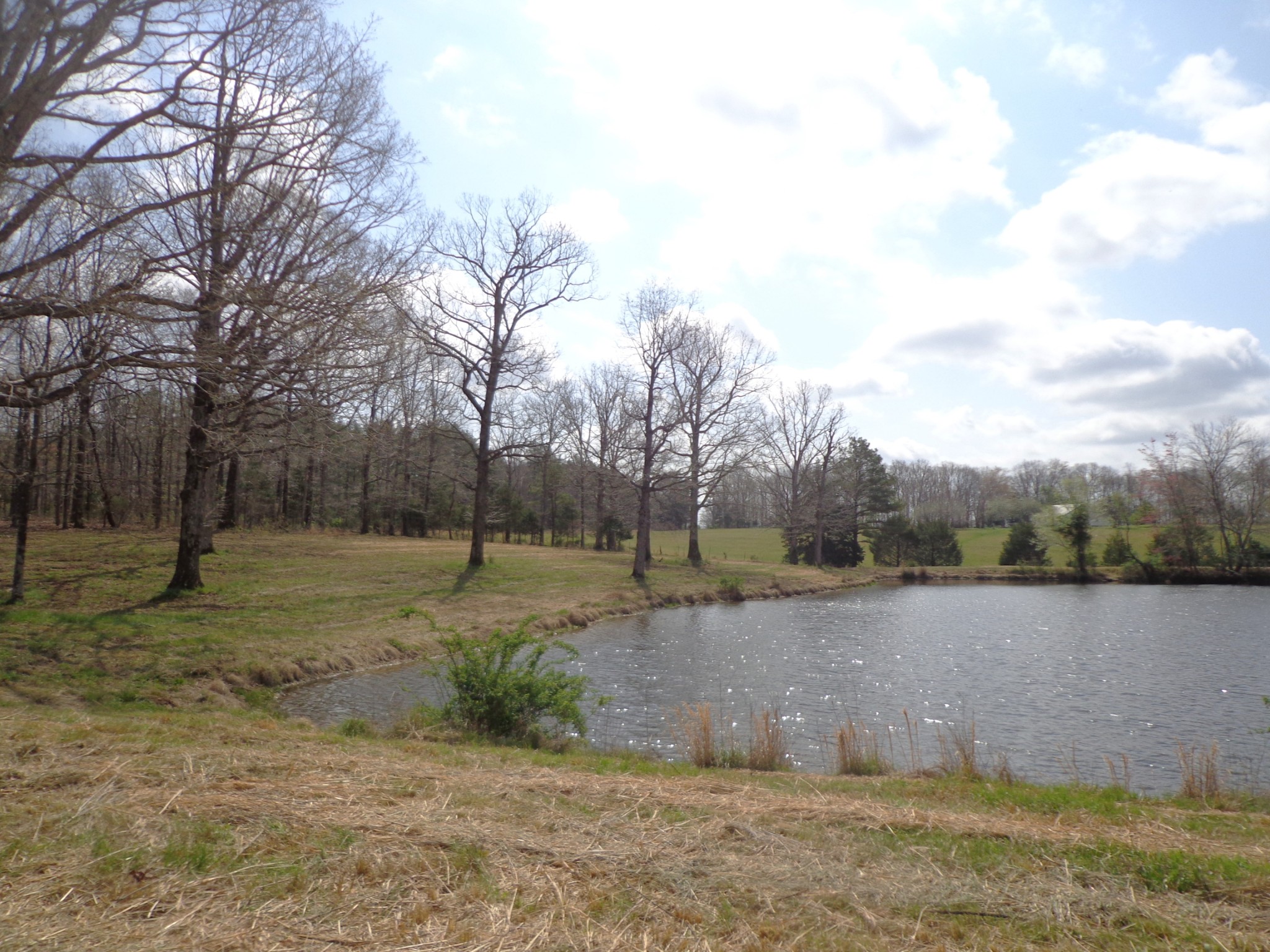 1551 Tennessee Ridge Road Waverly TN 37185
