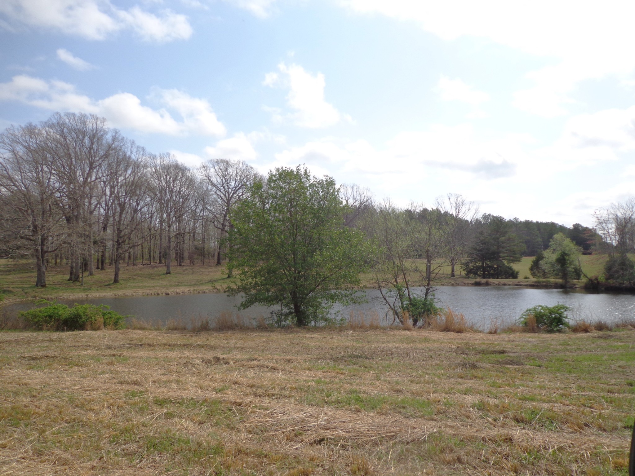 1551 Tennessee Ridge Road Waverly TN 37185