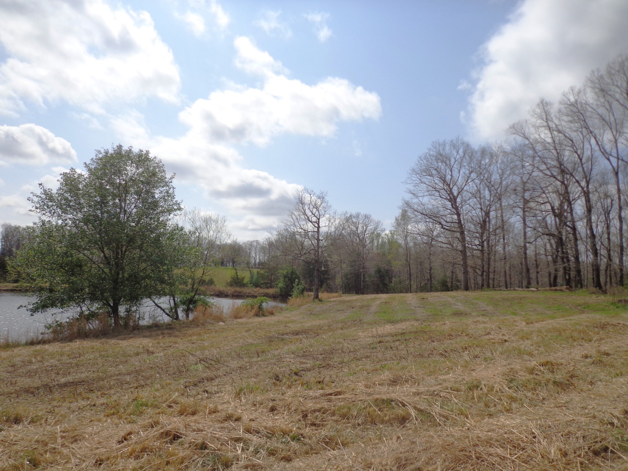 1551 Tennessee Ridge Road Waverly TN 37185