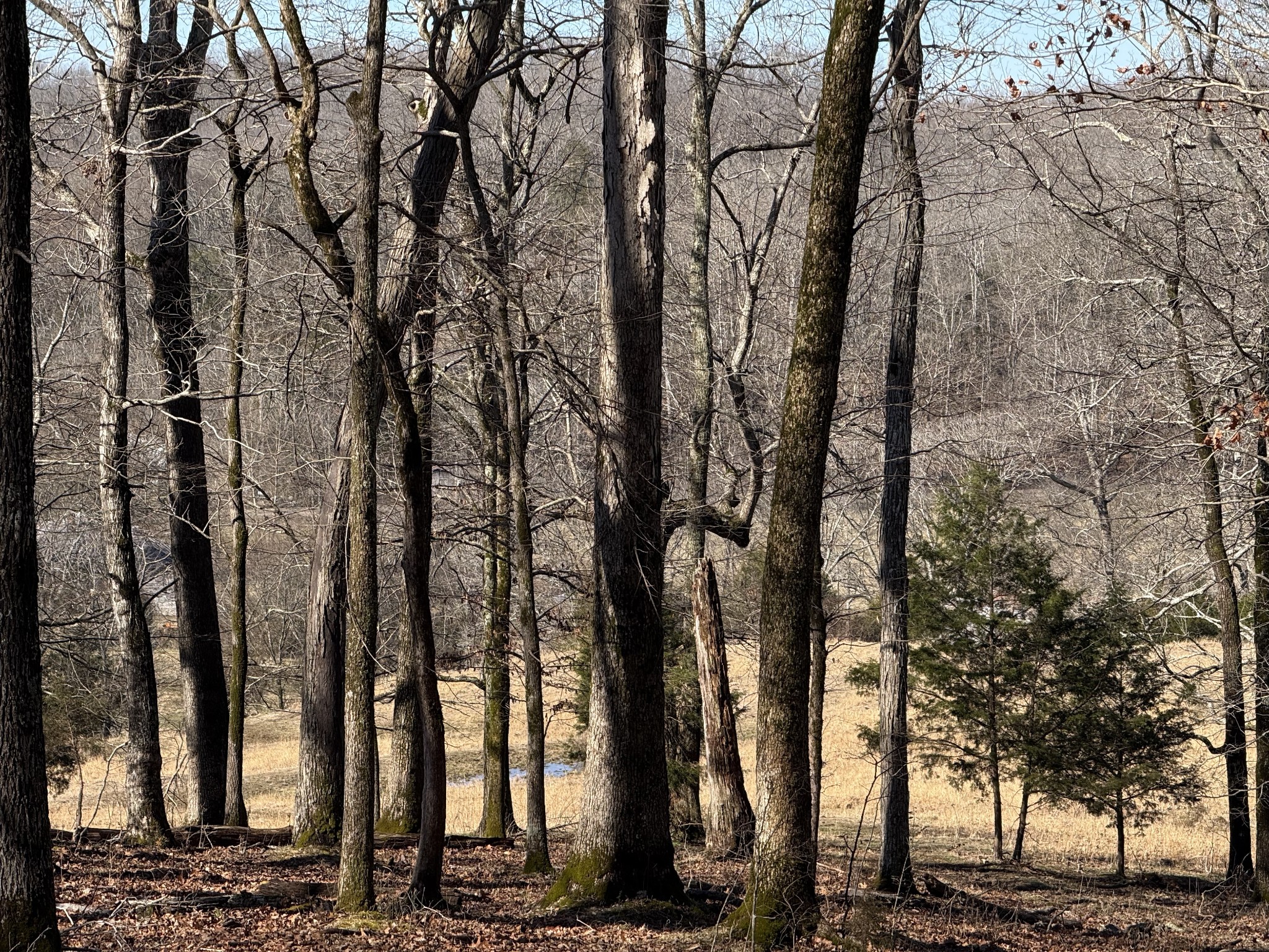 4 N Lick Creek Road Franklin TN 37064
