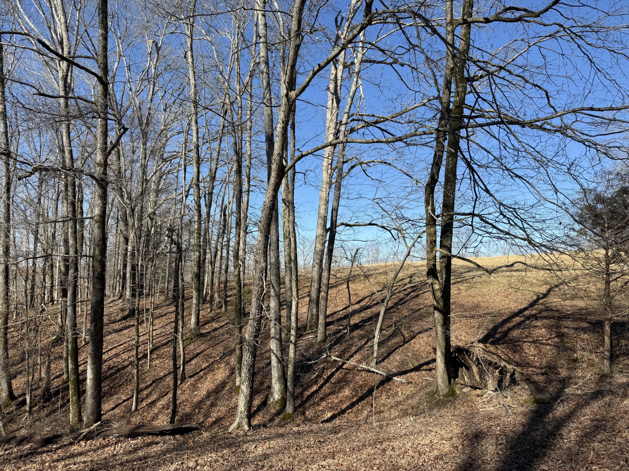4 N Lick Creek Road Franklin TN 37064