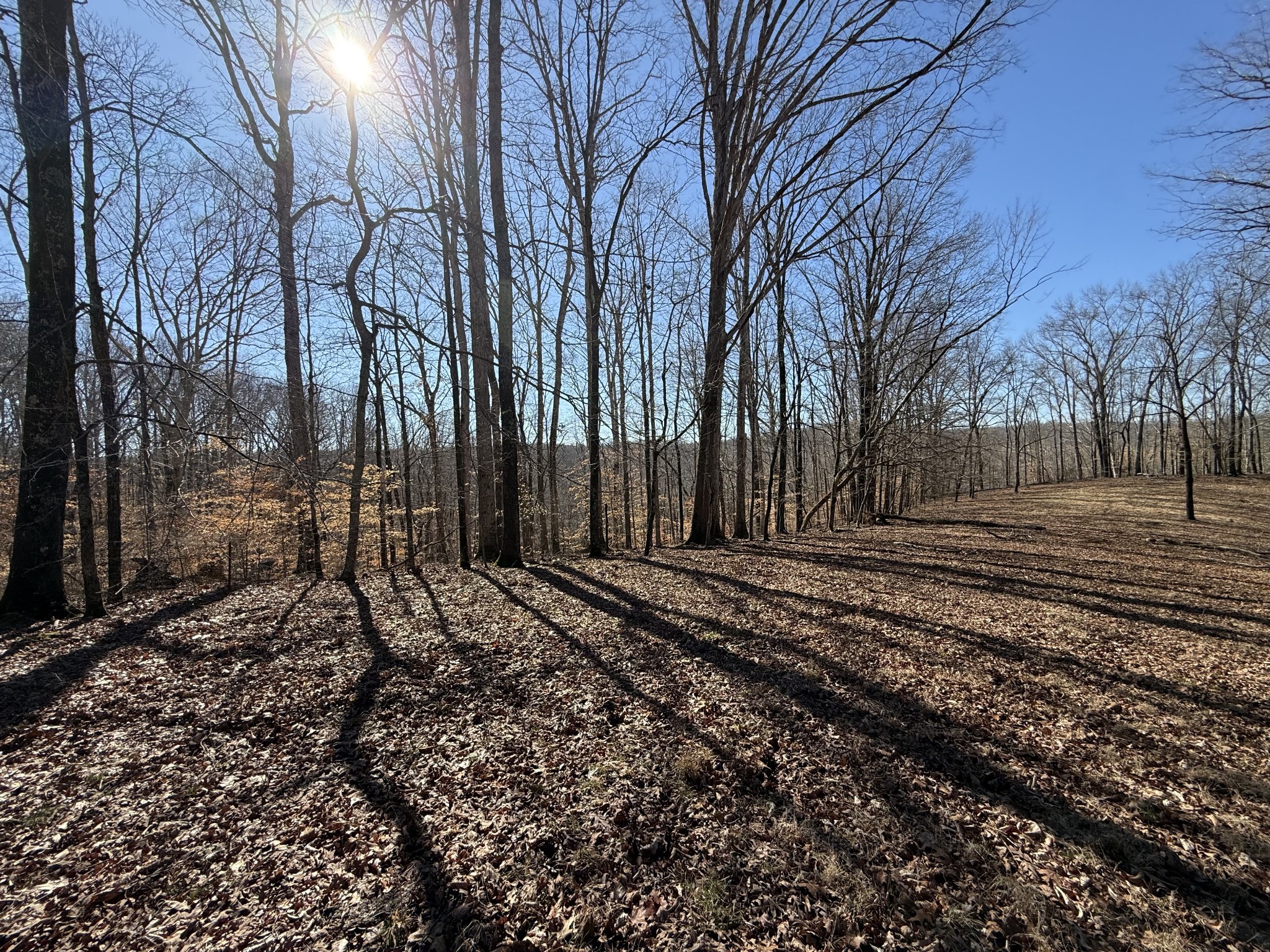 4 N Lick Creek Road Franklin TN 37064