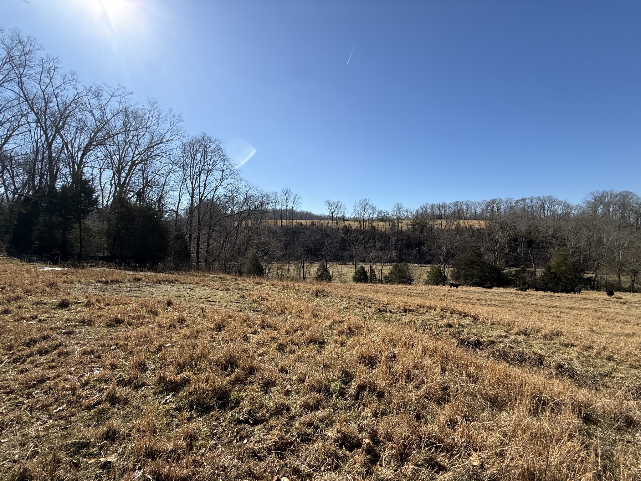4 N Lick Creek Road Franklin TN 37064