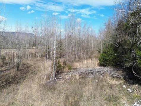 0 Francis Springs Road Whitwell TN 37397