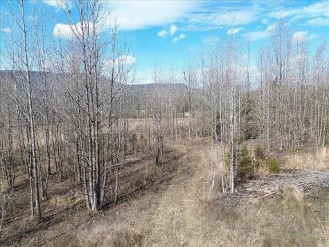0 Francis Springs Road Whitwell TN 37397