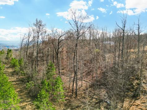 0 Jackson Point Road Lot 7 Sewanee TN 37375