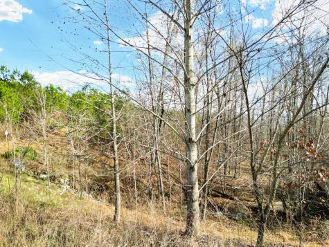 0 Jackson Point Road Lot 7 Sewanee TN 37375