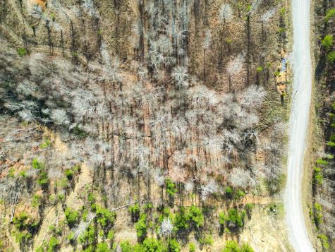 0 Jackson Point Road Lot 7 Sewanee TN 37375