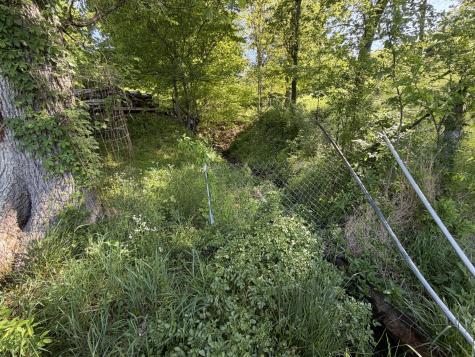 5170 Steam Mill Hollow Road Tract 2 Williamsport TN 38487
