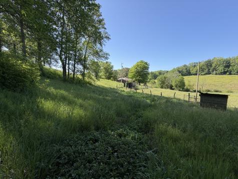 5170 Steam Mill Hollow Road Tract 2 Williamsport TN 38487