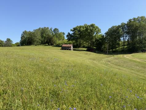5170 Steam Mill Hollow Road Tract 2 Williamsport TN 38487