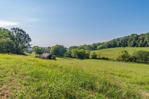 5170 Steam Mill Hollow Road Tract 2 Williamsport TN 38487