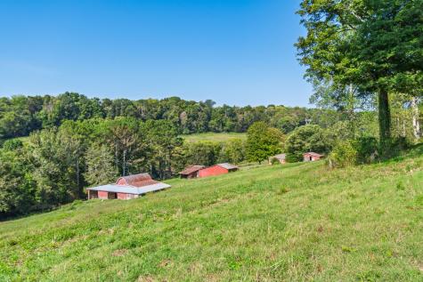 5170 Steam Mill Hollow Road Tract 2 Williamsport TN 38487