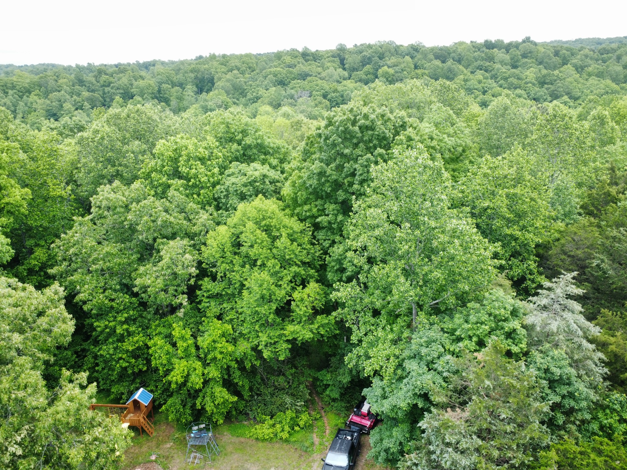 1200 Dawson Road White Bluff TN 37187