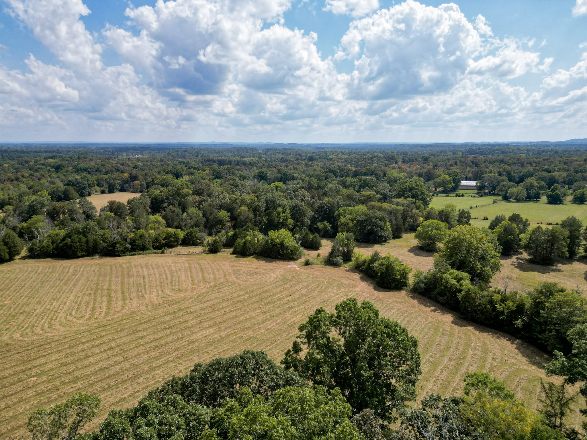 5010 John Lee Johnson Road Columbia TN 38401