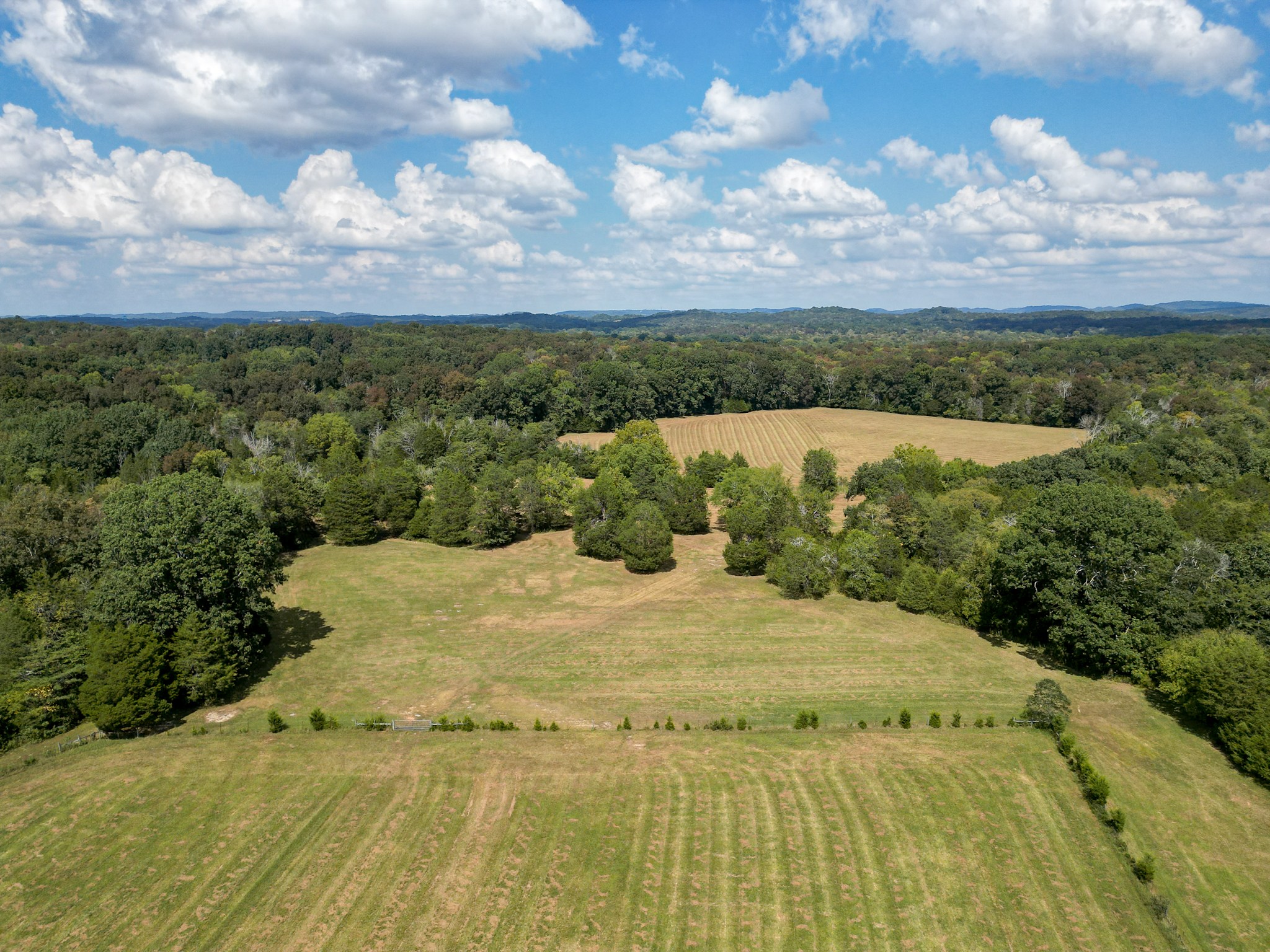 5010 John Lee Johnson Road Columbia TN 38401
