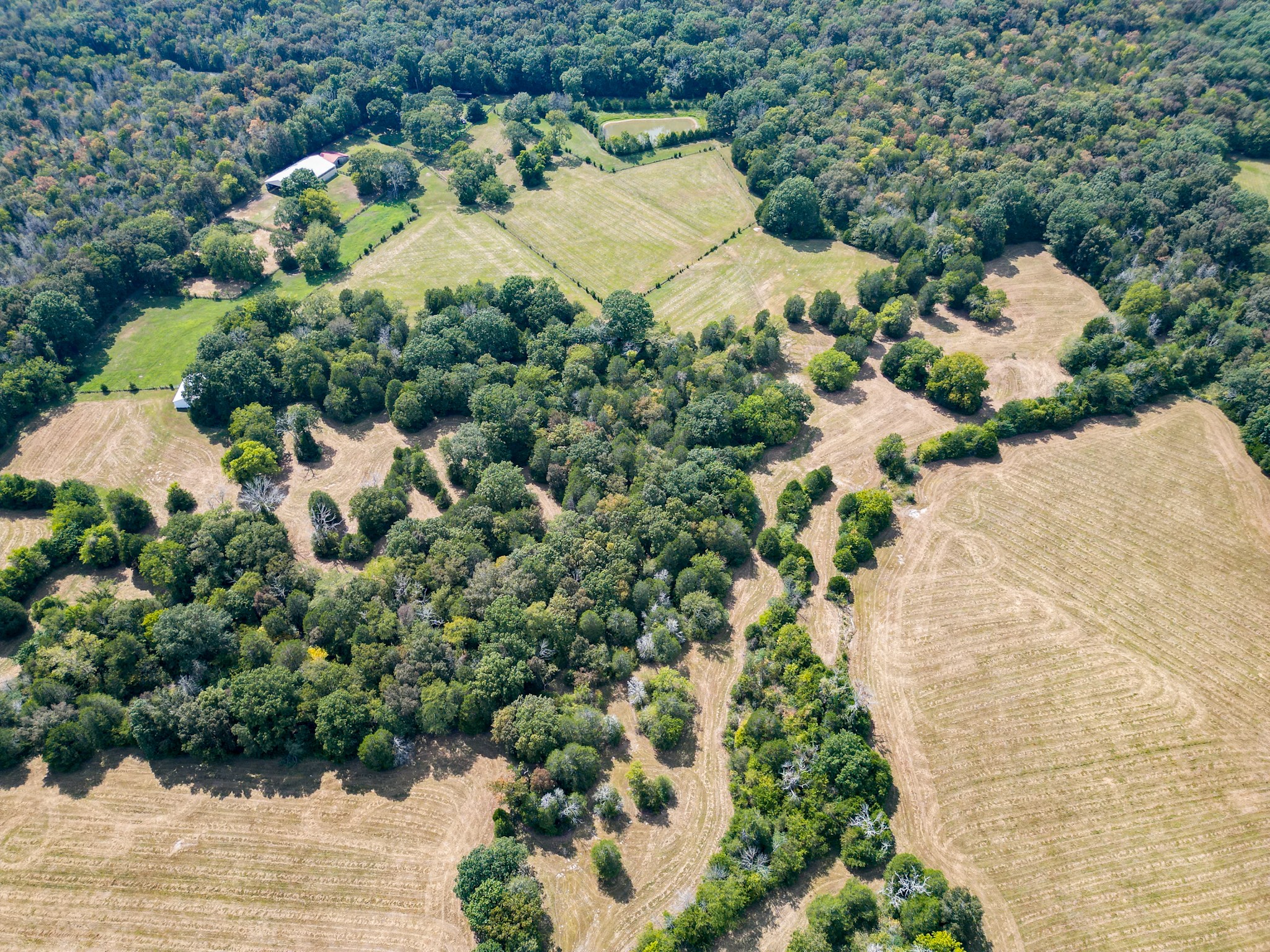 5010 John Lee Johnson Road Columbia TN 38401