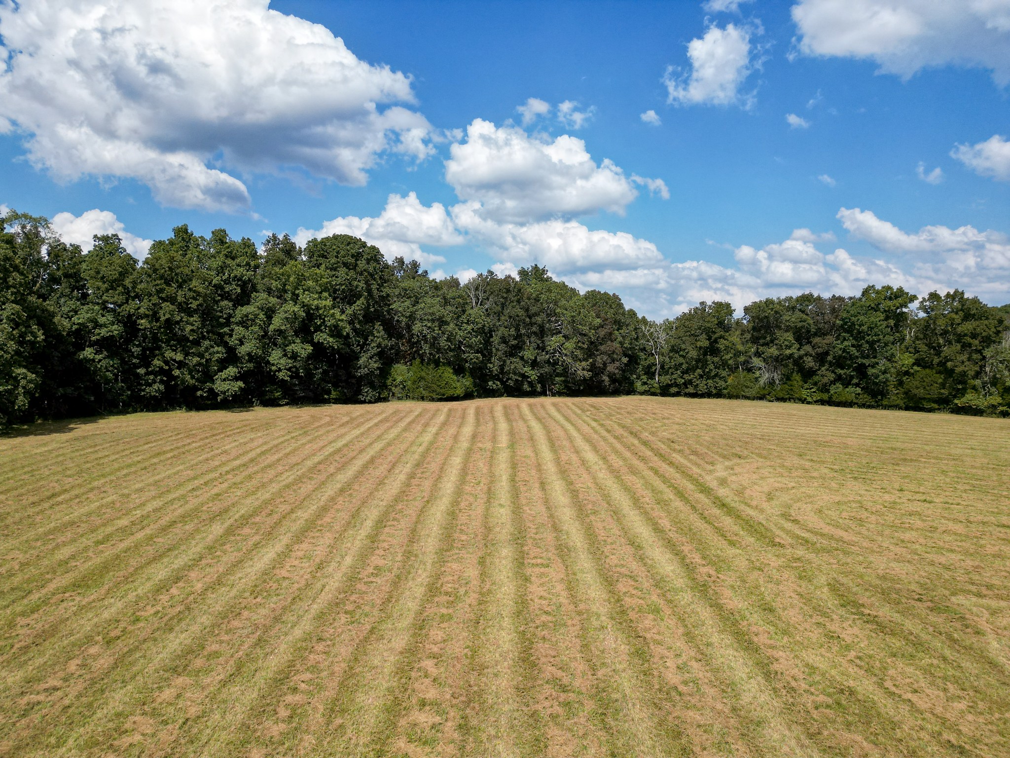 5010 John Lee Johnson Road Columbia TN 38401