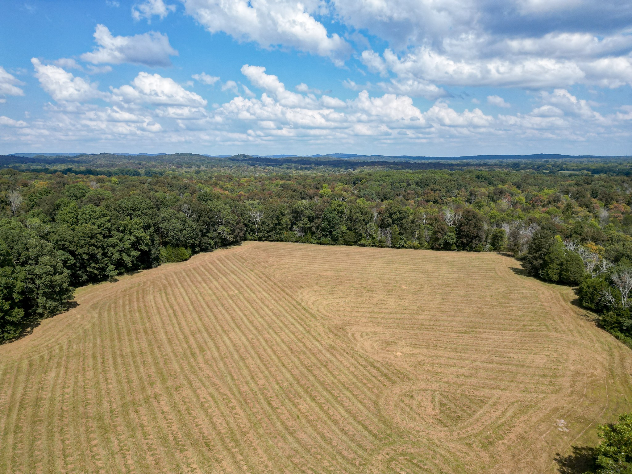 5010 John Lee Johnson Road Columbia TN 38401