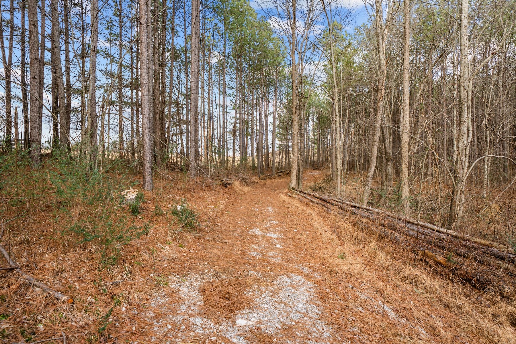 185 Mount Vernal Road Rockwood TN 37854