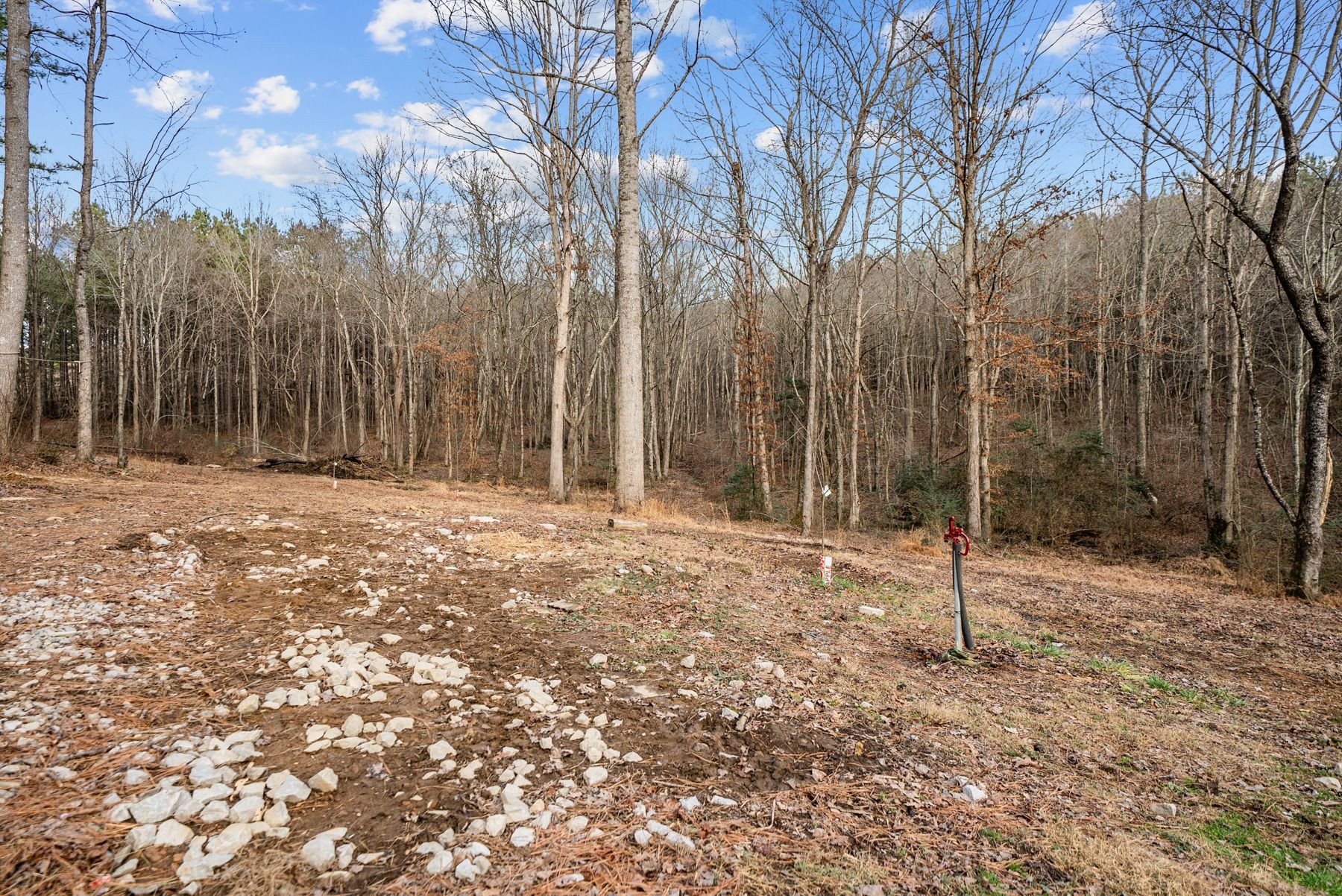 185 Mount Vernal Road Rockwood TN 37854