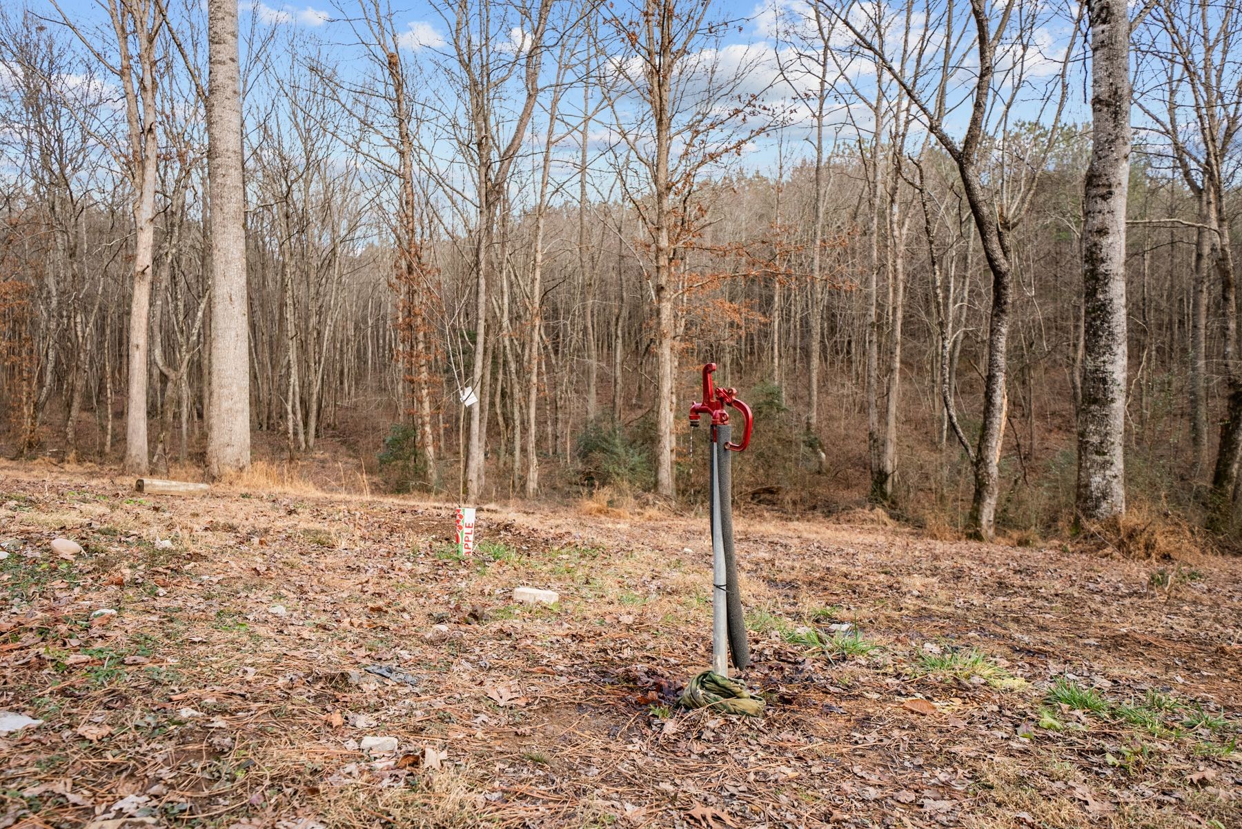 185 Mount Vernal Road Rockwood TN 37854