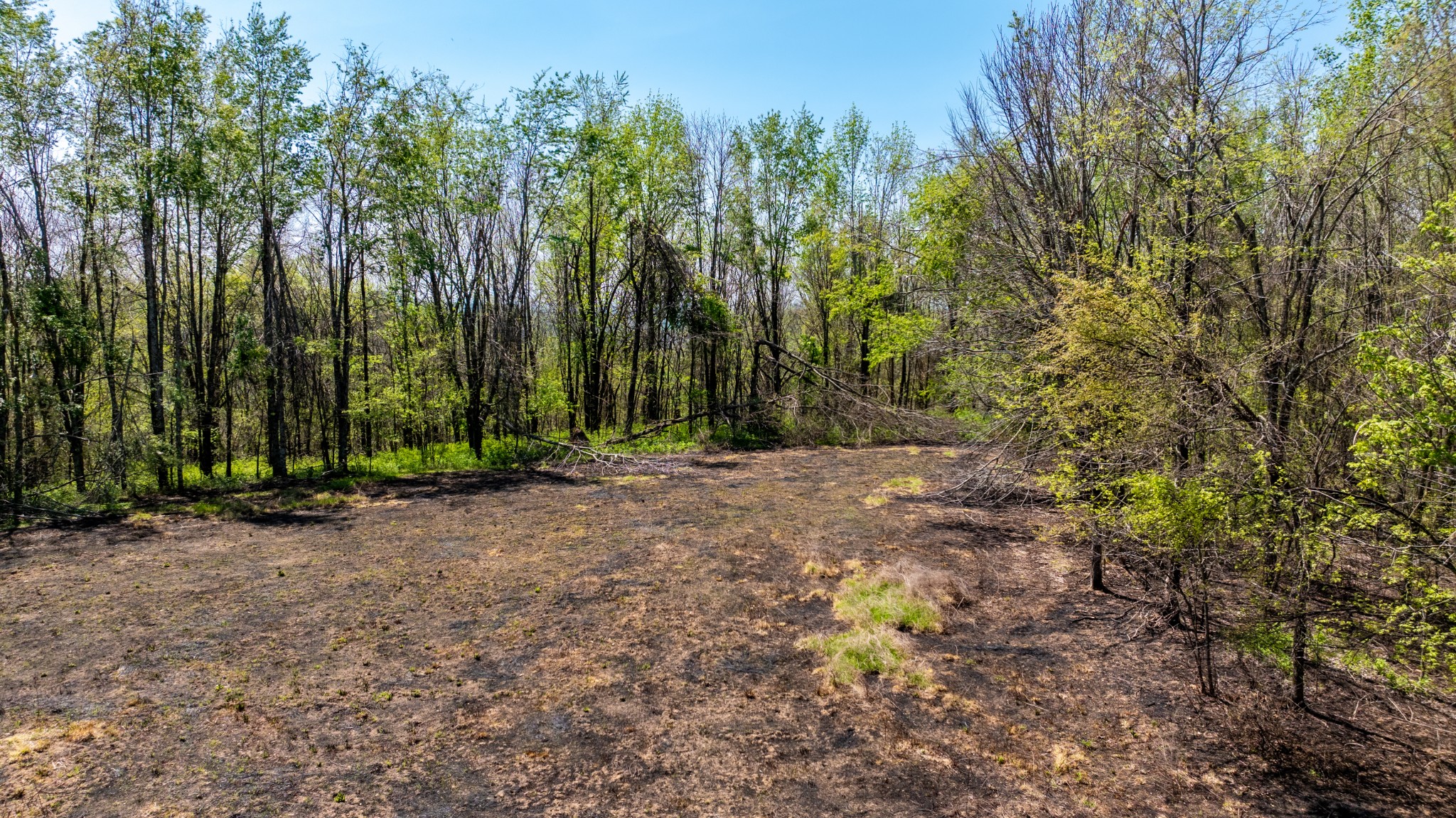 510 Rogues Fork Road Bethpage TN 37022