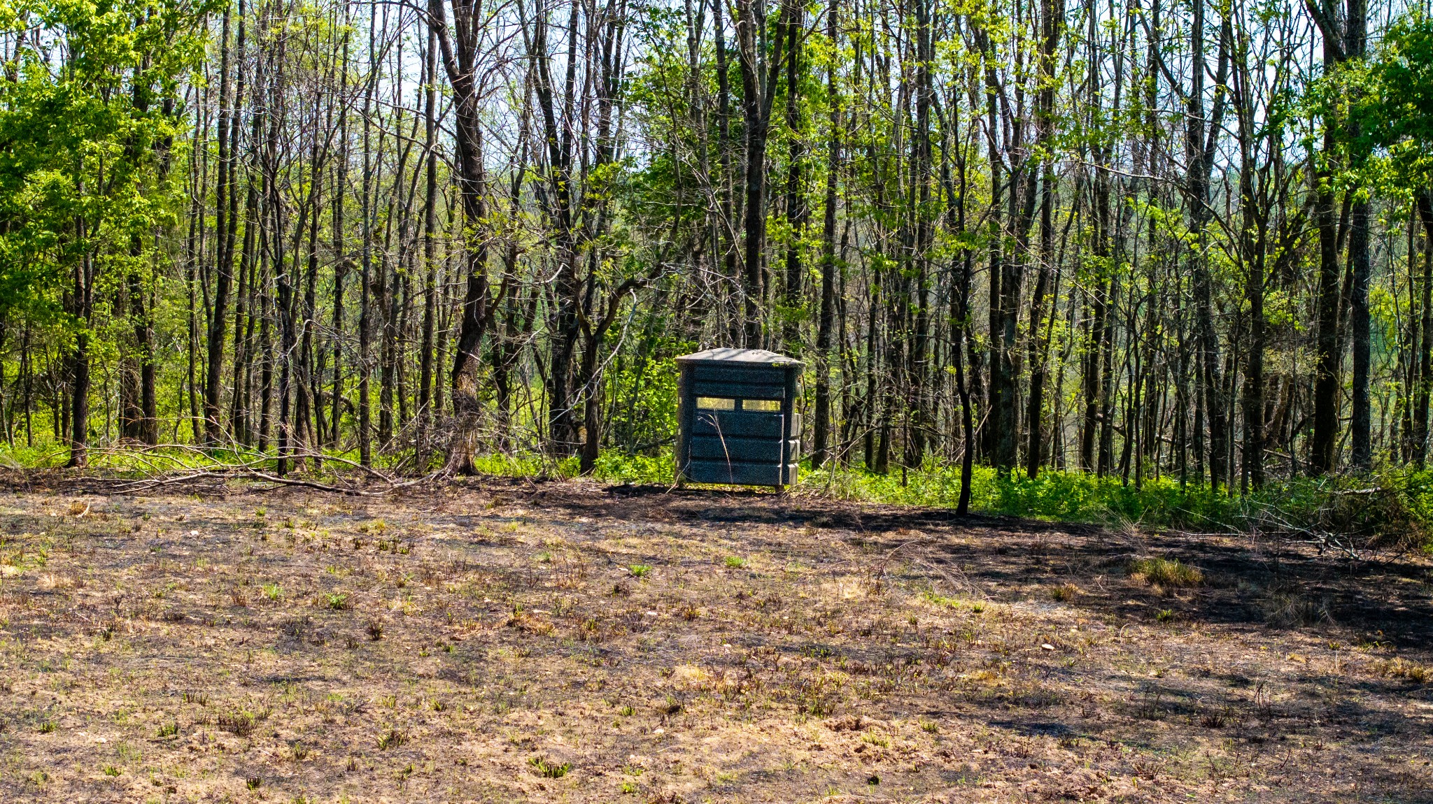 510 Rogues Fork Road Bethpage TN 37022