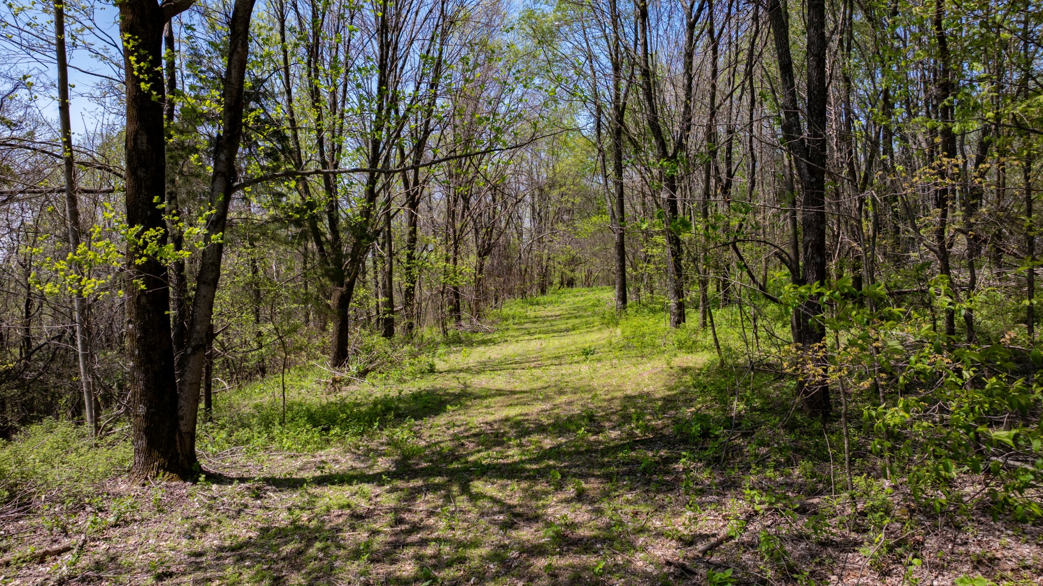 510 Rogues Fork Road Bethpage TN 37022