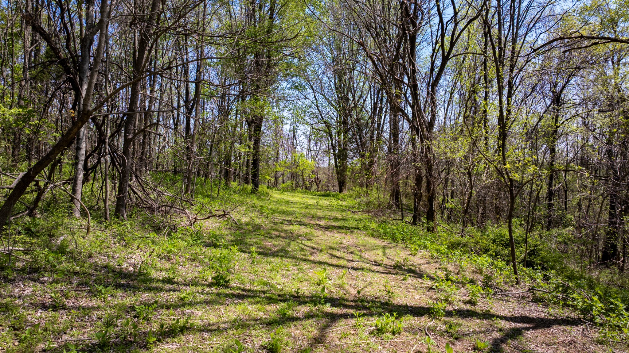 510 Rogues Fork Road Bethpage TN 37022