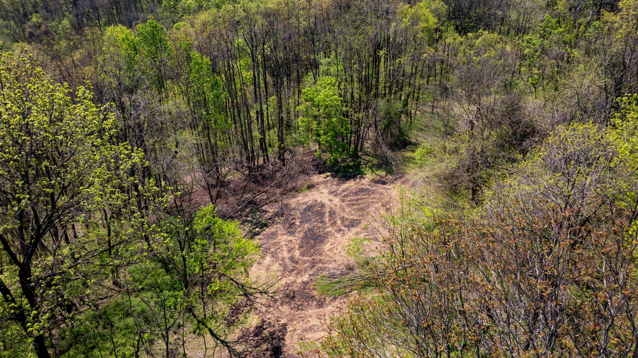 510 Rogues Fork Road Bethpage TN 37022