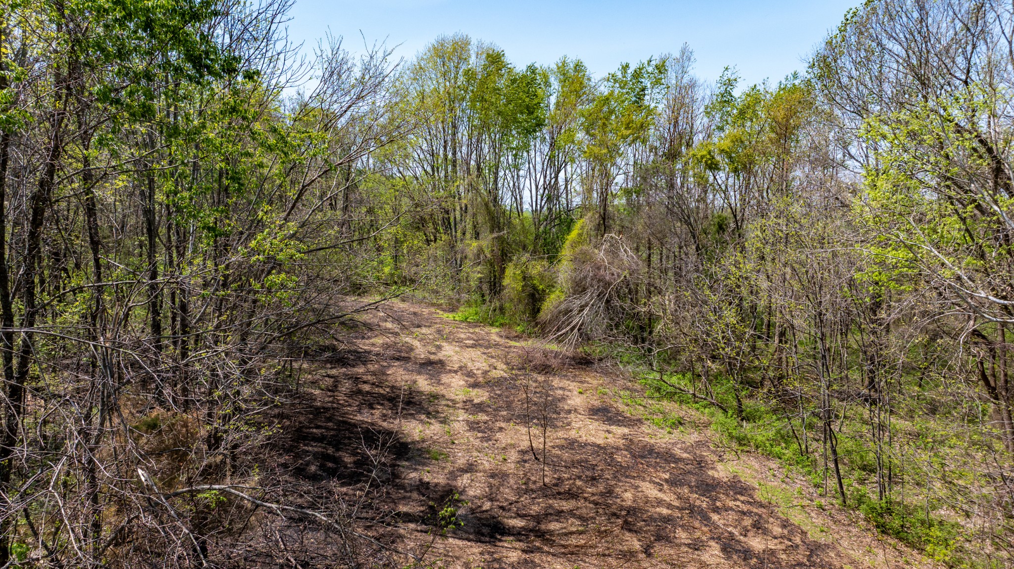 510 Rogues Fork Road Bethpage TN 37022