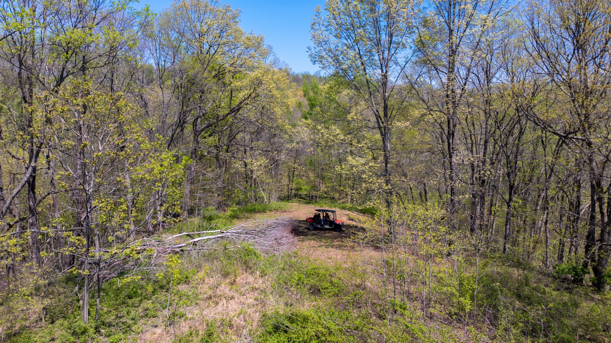 510 Rogues Fork Road Bethpage TN 37022